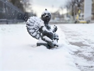 ������ ����, ��������!. ������� �������, 10 ������� � ��������� �����, ����� ��������� ���� �����