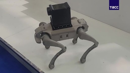 �����-������ ������������������ �������������� ����������� �� World Defense Show � ���������� ������