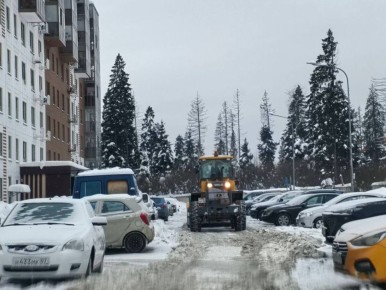 ������������ ������ ������� ���� � ���������