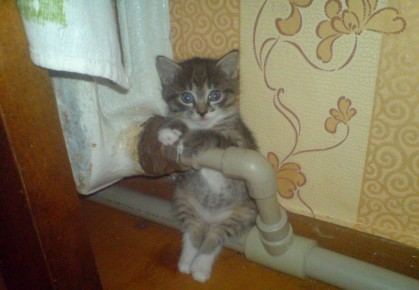 �������� ������� �� ������ � ������ ����������� ����������