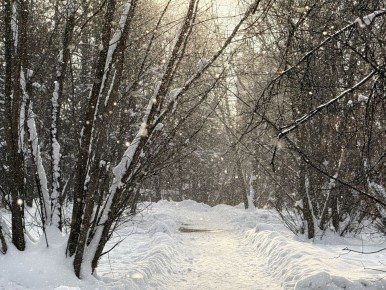 12 � 13 ������� � ���������� ������� ��������� ������ ����, ������� �������