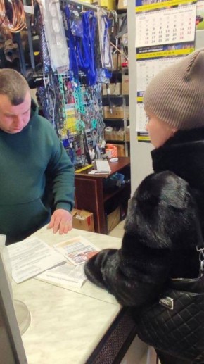 ����������� � ��������� ��������������� � ���� ������������ � ��������!