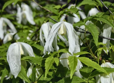 �������: ���������� ����� ��� ������ ����