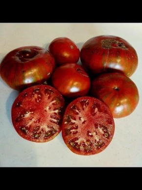 ����� � ����������� ���������: �������� ��� ���� '�������� ���� �������'