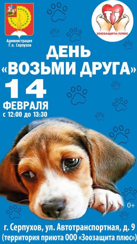 14������� ����� ����� ����, ������� ������� ����� ����� � ��������, ���� ����