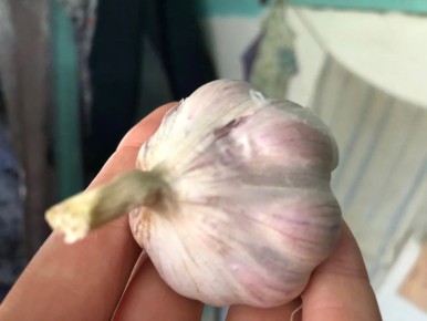 ������� �������� ������ ������� ������� � 2025 ����