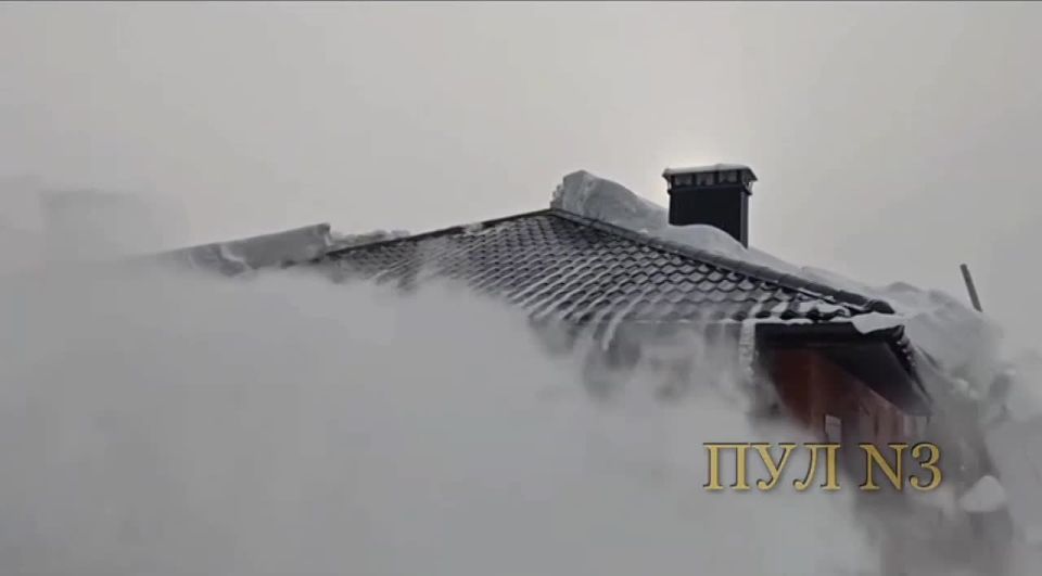 ����� ������ ������� �� ���� ������: