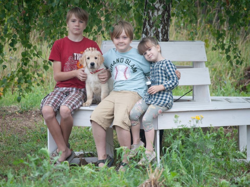 ����� ��������� ������� ��� ��������� ���� � ����� �����: �������, �������, ������ ���������