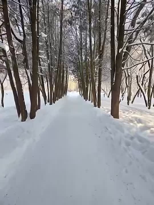 ������ ����, ��������!. ������� �������, 13 �������