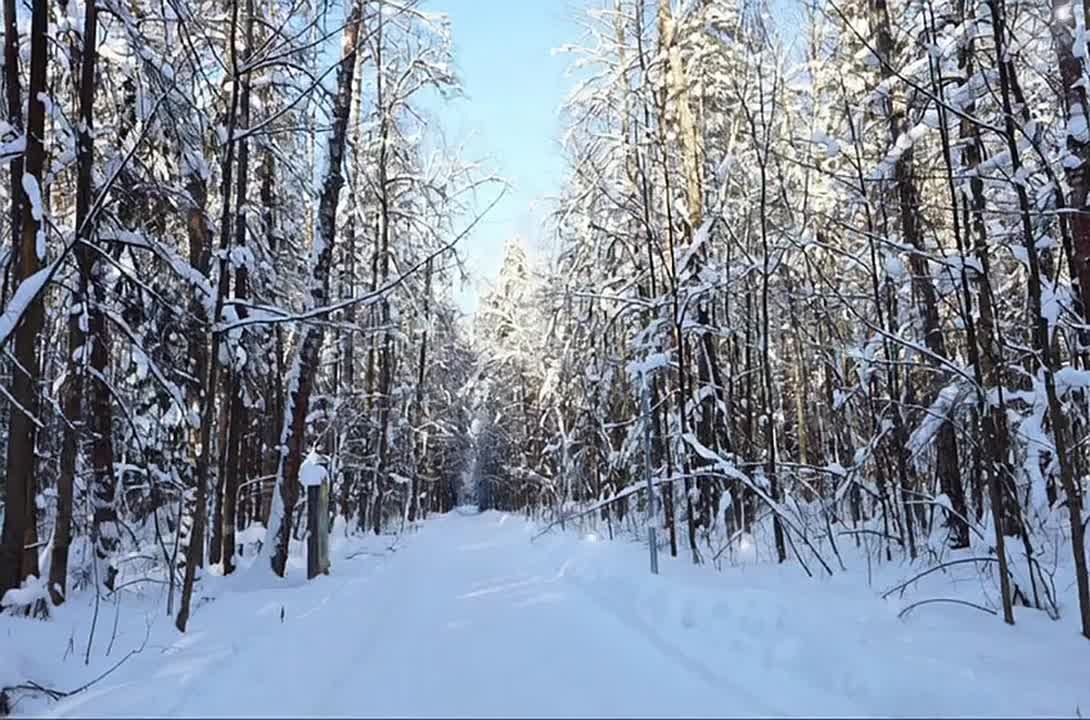 Доброе утро, Серпухов!. Сегодня суббота, 14 февраля — день, когда хочется дарить улыбки и принимать тепло