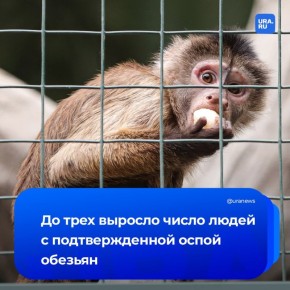 ������������ ���� ������� ������ ����