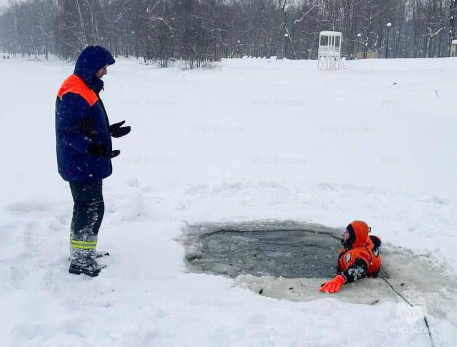 � ٸ����� ������ ������� �� �������� ��������� �� ����