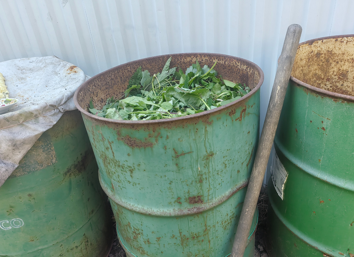 Пламя на даче: от жгунов до осознанного сжигания