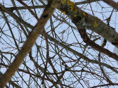 ������� ������� ����� �15 ���������������� ������� �������������� � ������������� �������� ��������