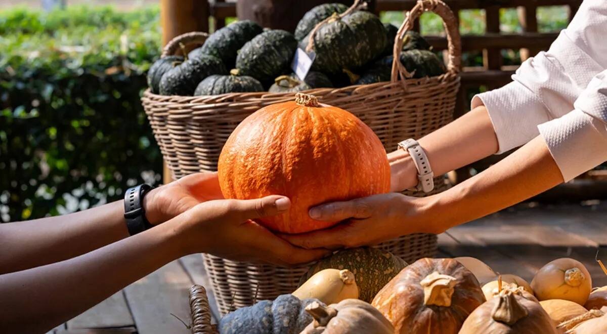 Неожиданные грани тыквы: открываем новый вкус с уникальной специей