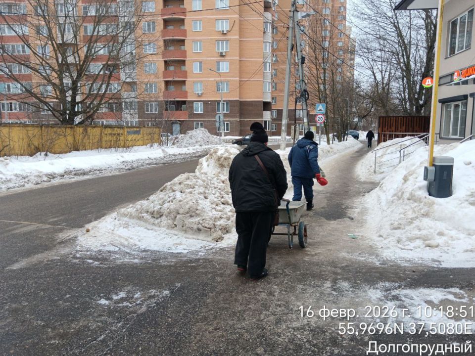 � ������������ ������� ���� � ������������ ���������� �� �������