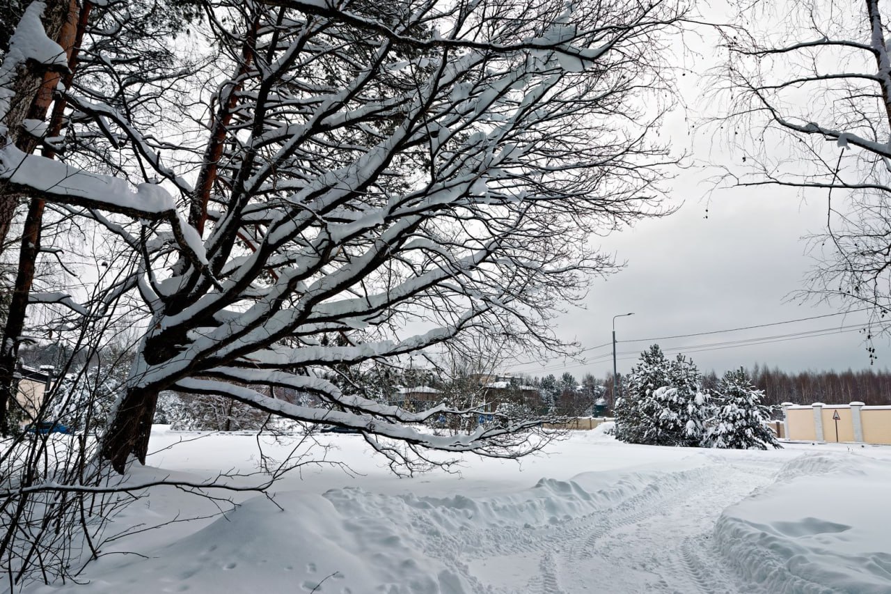 В 2026 году дачное законодательство претерпело ряд изменений, которые затрагивают интересы многих владельцев загородной недвижимости