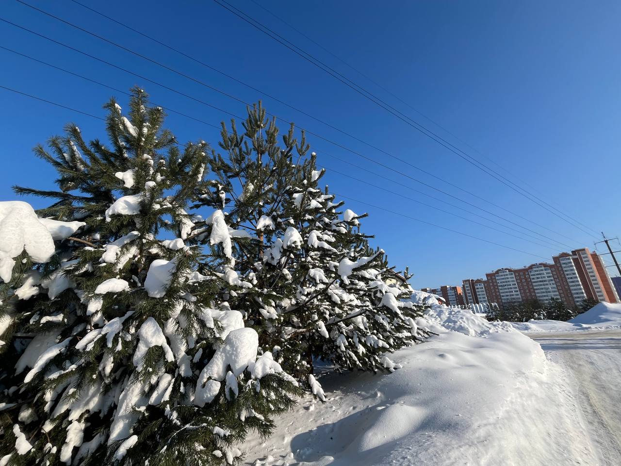 Мороз и солнце: день чудесный! Мороз и солнце: день чудесный!