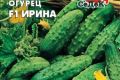 Огурцы Ирина: как вырастить своих любимцев без лишних хлопот