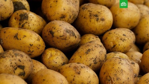 Как приготовление картофеля может влиять на риск диабета