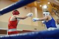 Ногинск стал кузницей чемпионов: четверо боксеров принесли золото в копилку региона