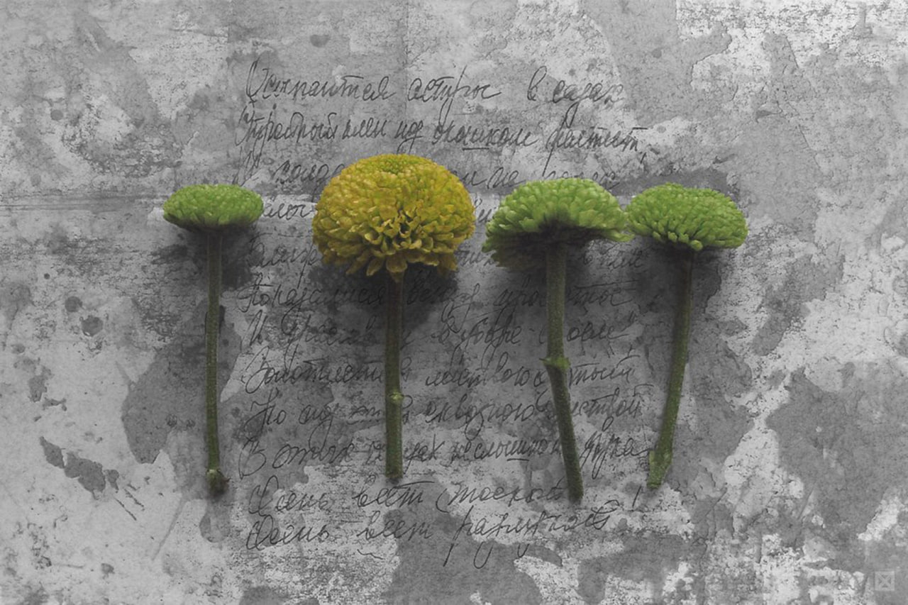 Три проекта из Коломны вошли в число победителей конкурсного отбора на предоставление грантов в форме субсидий некоммерческим неправительственным организациям с целью развития гражданского общества в Московской области Три проекта из Коломны вошли в число победителей конкурсного отбора на предоставление грантов в форме субсидий некоммерческим неправительственным организациям с целью развития гражданского общества в Московской области