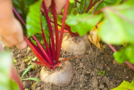 ������������: ����� ����� ����� �������� � ������� � ���������� ���� �������