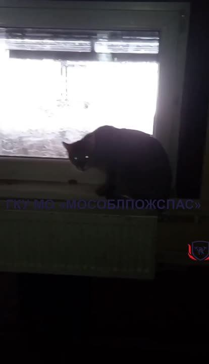 ��������� � �������� ������ �� ���� � ������