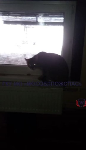 ������ ���������� ����� ������ �� �������������� ������ � ����� ���� � ������������ ������