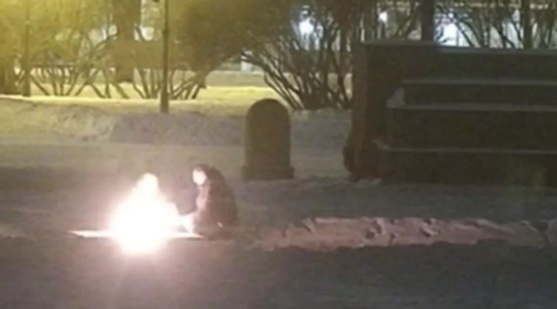 ������ ���������� ������� �� ������� ������ ����� �� �������� ����