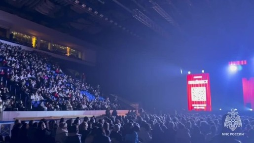 В Подольске сотрудники МЧС провели профилактическую работу на концерте Сергея Лазарева