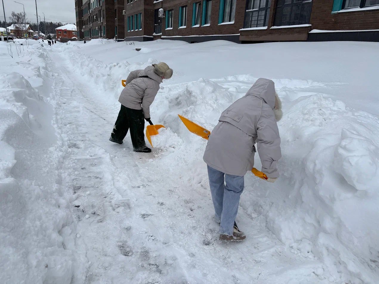 Жители Мытищ присоединились к субботнику по уборке снега Жители Мытищ присоединились к субботнику по уборке снега