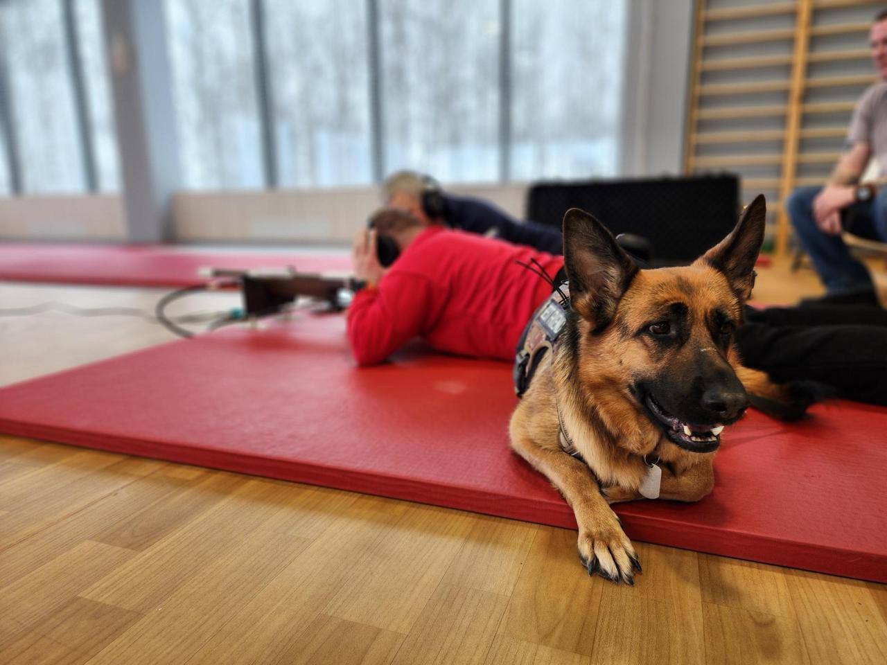 В Сергиевом Посаде на базе Центра им. А.И. Мещерякова Всероссийская Федерация спорта слепых провела мастер-классы для ветеранов специальной военной операции В Сергиевом Посаде на базе Центра им. А.И. Мещерякова Всероссийская Федерация спорта слепых провела мастер-классы для ветеранов специальной военной операции