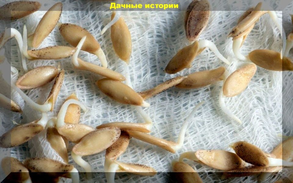 ��� ��������� ��������� ����� � �������� ������