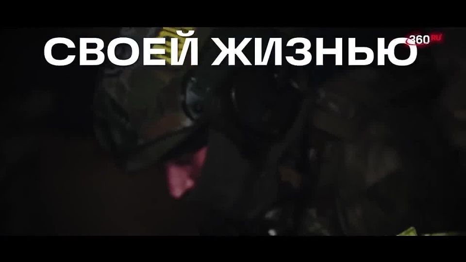 ����� ��������: �������� ����� � ������ �������� ���������� �� ���������� �360�