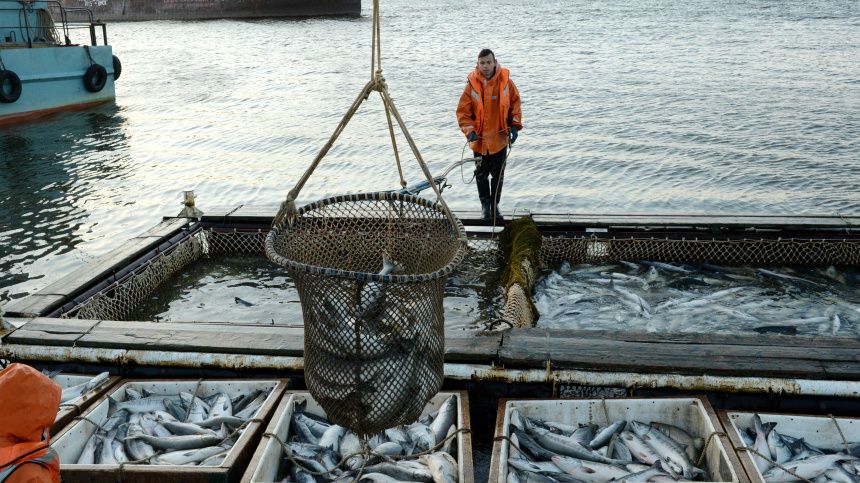 �������� ������������ ���� ��� �� ���� � ���� � 2026 ����