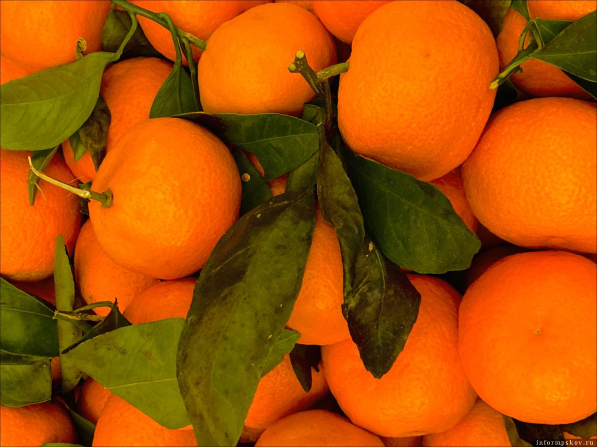 Мандарины: секреты полезности и советы по выбору