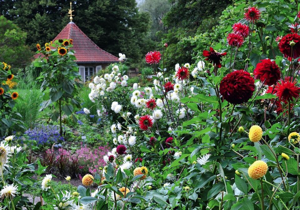 ��� ������� ��������� ��������� ��� ��������� � ����