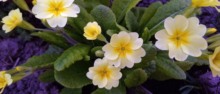 ��� ������� ��� � �������� ������ ������ ����