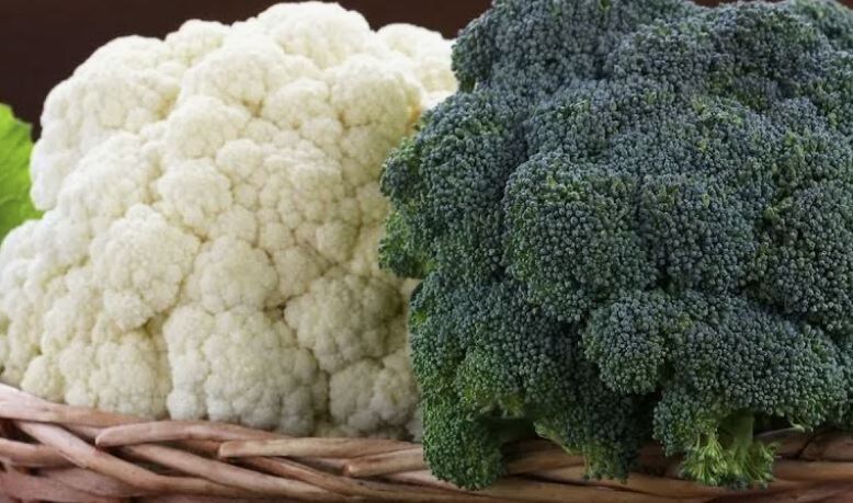 Секреты успешной посадки брокколи и цветной капусты: когда и как это сделать