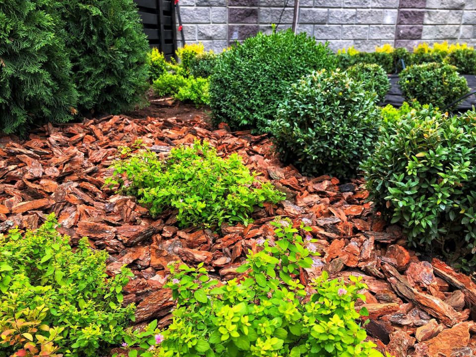 �������� �������� ��� ������ ������: ��� ��������� ������ � ���������