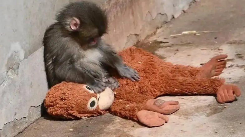 ������, �������������: ������ ���� ��� ��������� �� ���������� ������ �� ��������� ��������