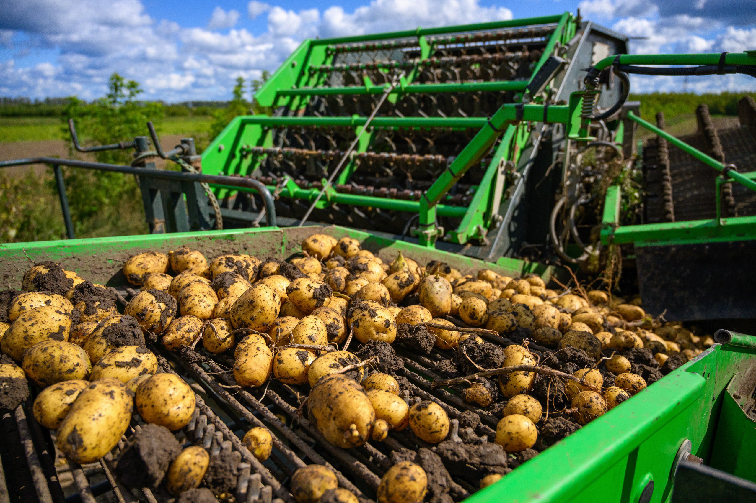 40 субсидий и грантов: 5,9 млрд рублей направят на поддержку аграриев Подмосковья в этом году 40 субсидий и грантов: 5,9 млрд рублей направят на поддержку аграриев Подмосковья в этом году