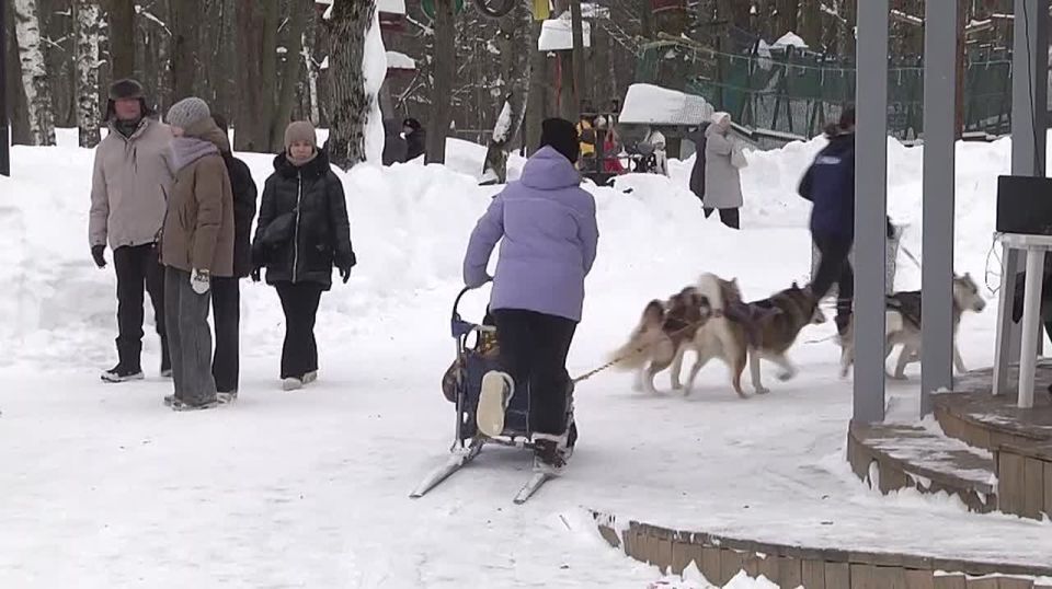 ������ ����������: � ����������� � ���������� ����� ����������� ������ ����������� �����������, ����������� �������� ����