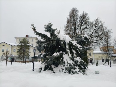 ������ ����, ��������!. ������� ����������� ������� ������� +1 ��