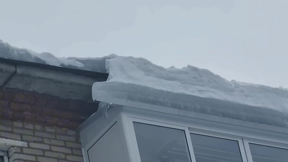 �� ����� �������� �������� ����� ����� �� �����, ������� � ������