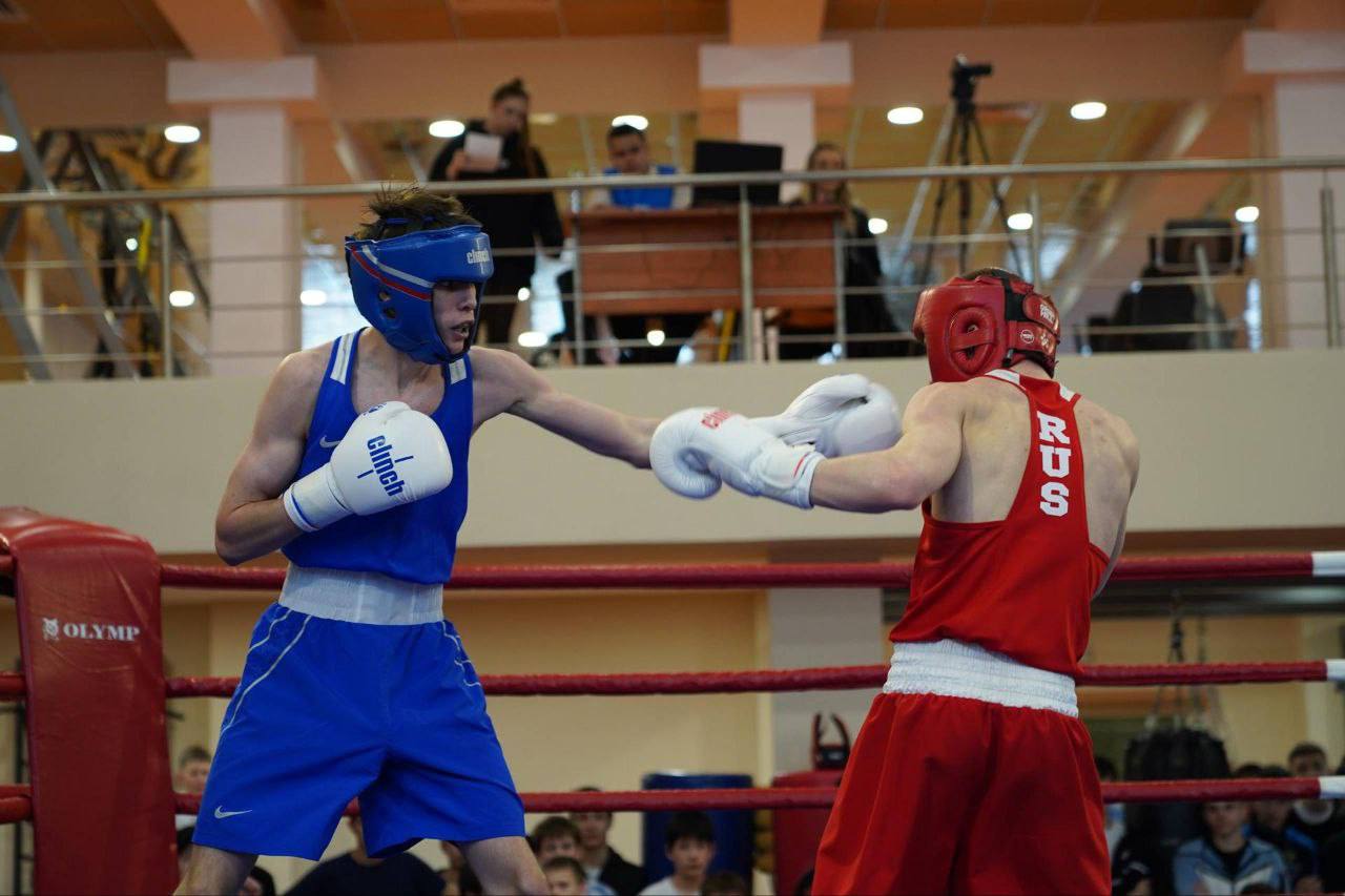 Подольские боксёры готовятся к первенству ЦФО