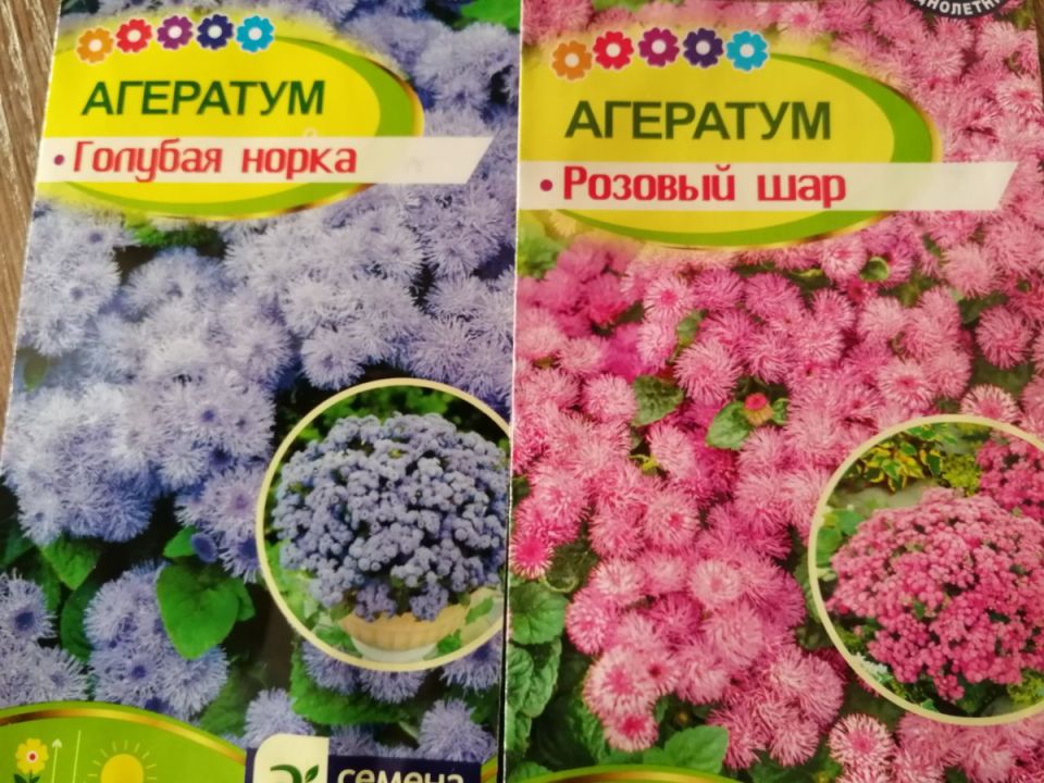 ��������� ������: ����� ����� ������� � �����