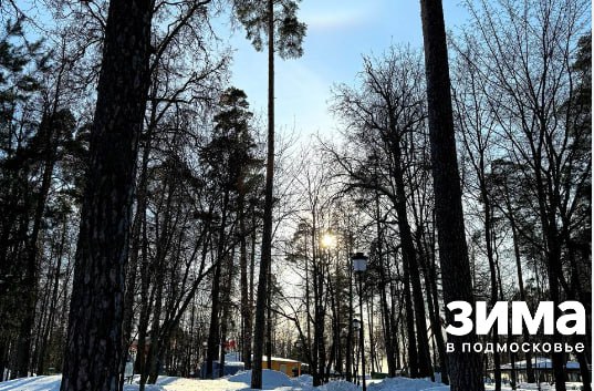 Встречаем весну в Раменском городском парке