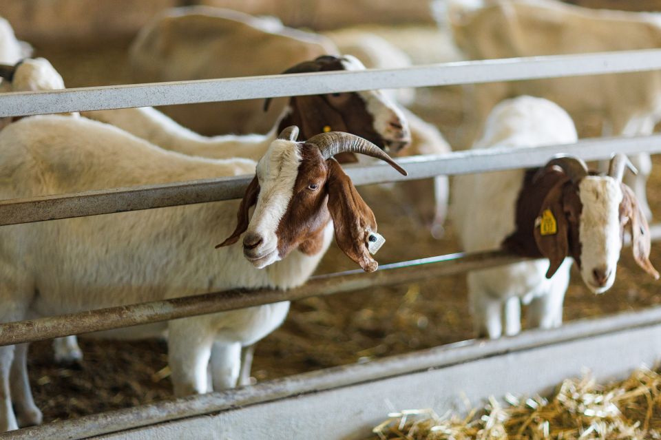 40 �������� � �������: 5,9 ���� ������ �������� �� ��������� �������� ����������� � ���� ����